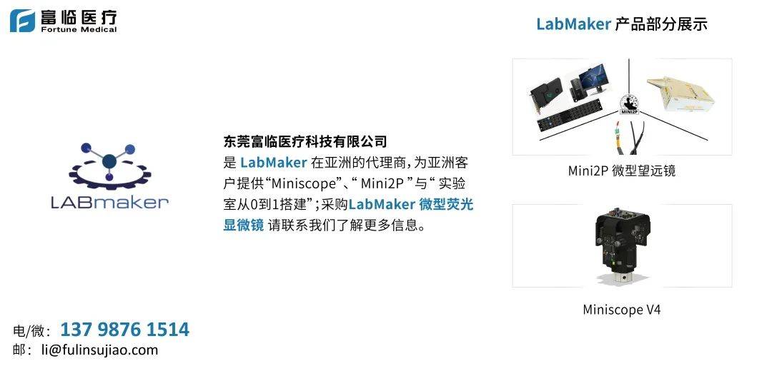 LabMaker光遗传分子层面不同的纹状体黑质神经元亚型对运动有着不同的调节作用